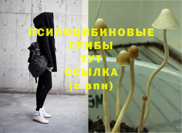 MDMA Premium VHQ Ладушкин