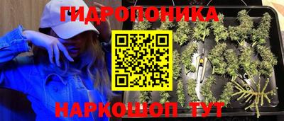 Альфа ПВП Гусь-Хрустальный