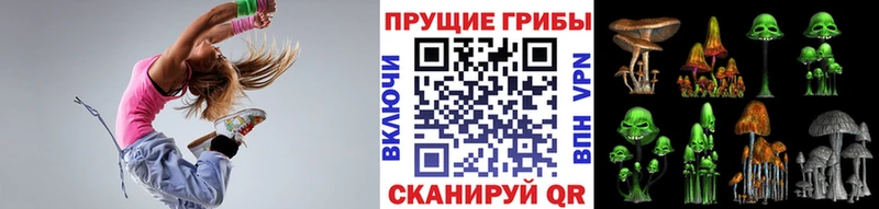 Псилоцибиновые грибы Psilocybine cubensis  hydra ссылка  Фрязино 