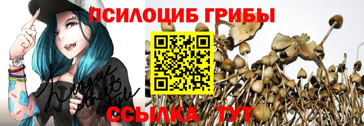 где можно купить   Вход с VPN  Псилоцибиновые грибы MAGIC MUSHROOMS  Фрязино  Галлюциногенные грибы Psilocybine cubensis 